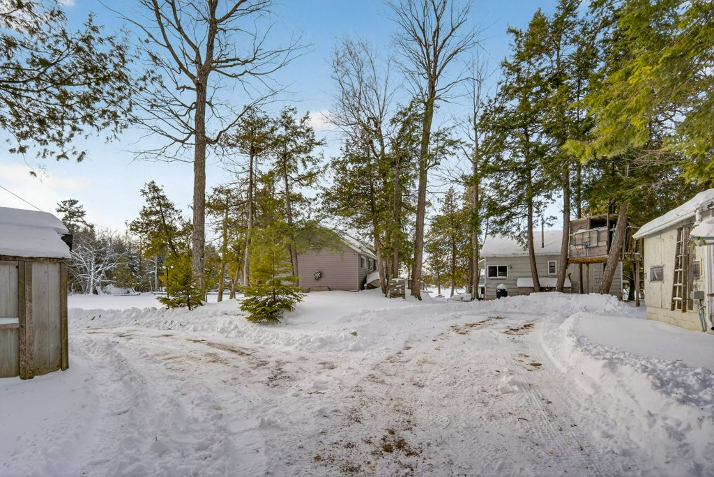 Snow-covered driveway and approach showing the two neighbouring cottages and treed lot.