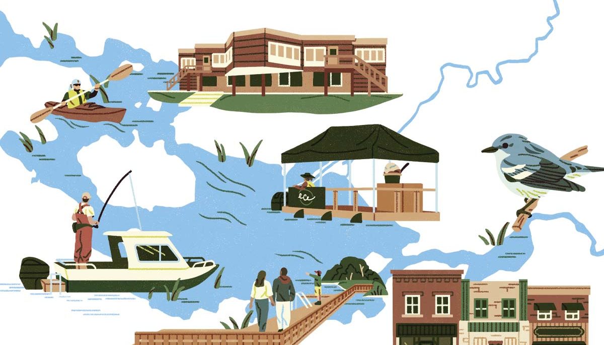 A graphic of Lake Vernon which includes cottagers boating, fishing and walking on docks. The graphic also includes infrastructure and animals around Lake Vernon.