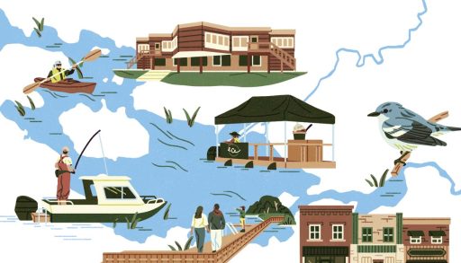 A graphic of Lake Vernon which includes cottagers boating, fishing and walking on docks. The graphic also includes infrastructure and animals around Lake Vernon.