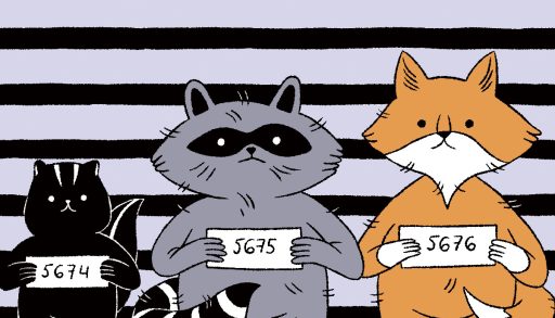 An illustration of a skunk, raccoon, and fox in a police lineup