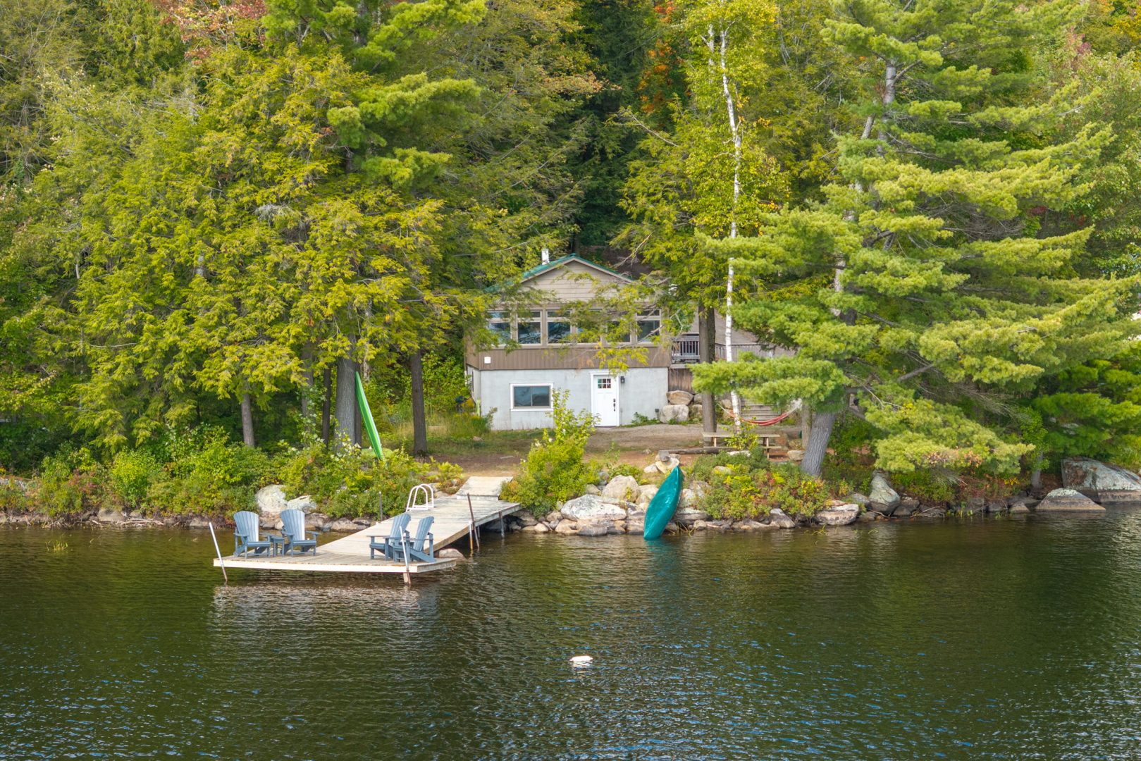 A brown and white cottage tucked behind trees on a waterfront property