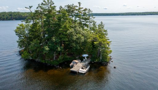 A small island covered in tall green trees with a small dock jutting into the water.