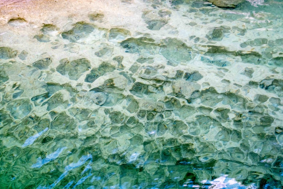 The pockmarked lake bottom