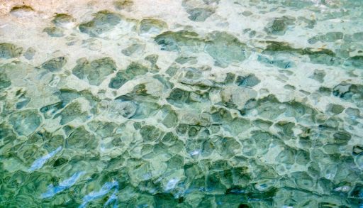 The pockmarked lake bottom