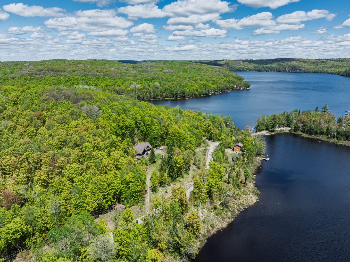 Aerial view of the forested cottage property
