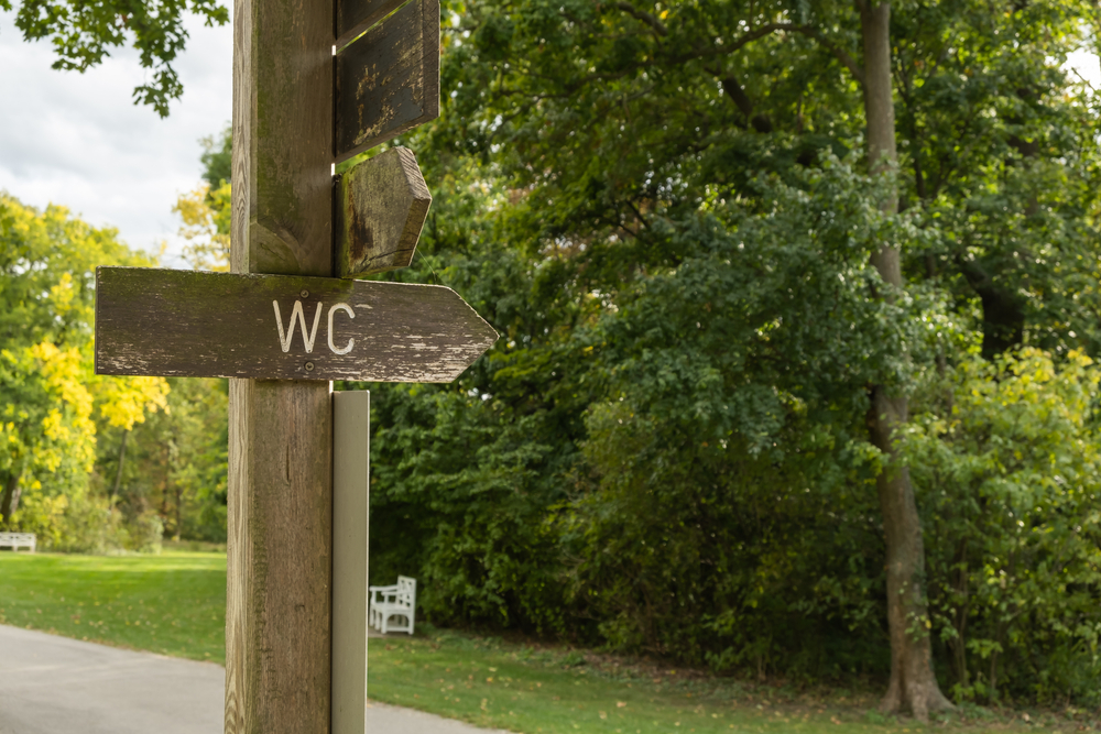 An old-fashioned wood WC sign