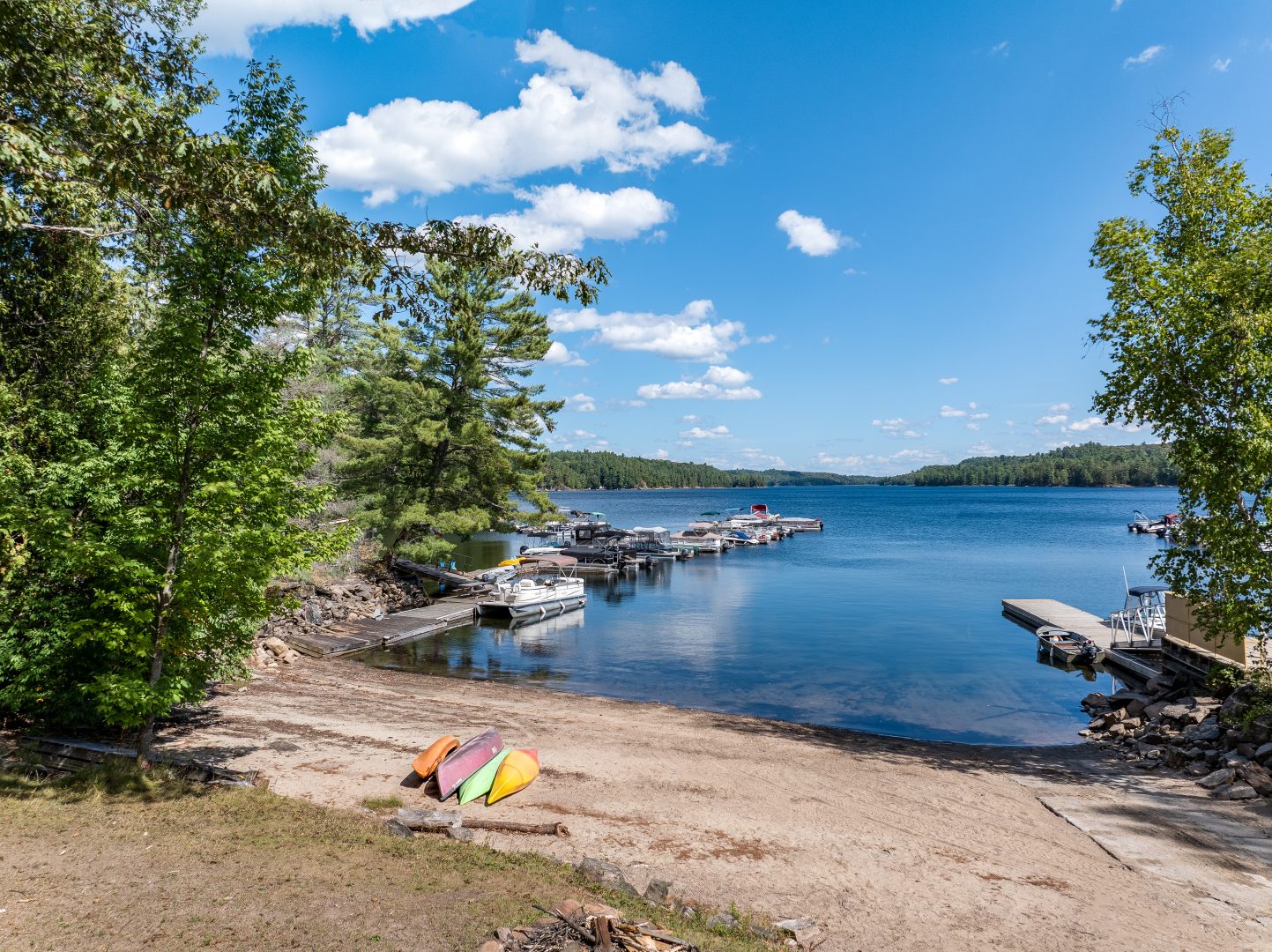 A sandy beach next to a lake