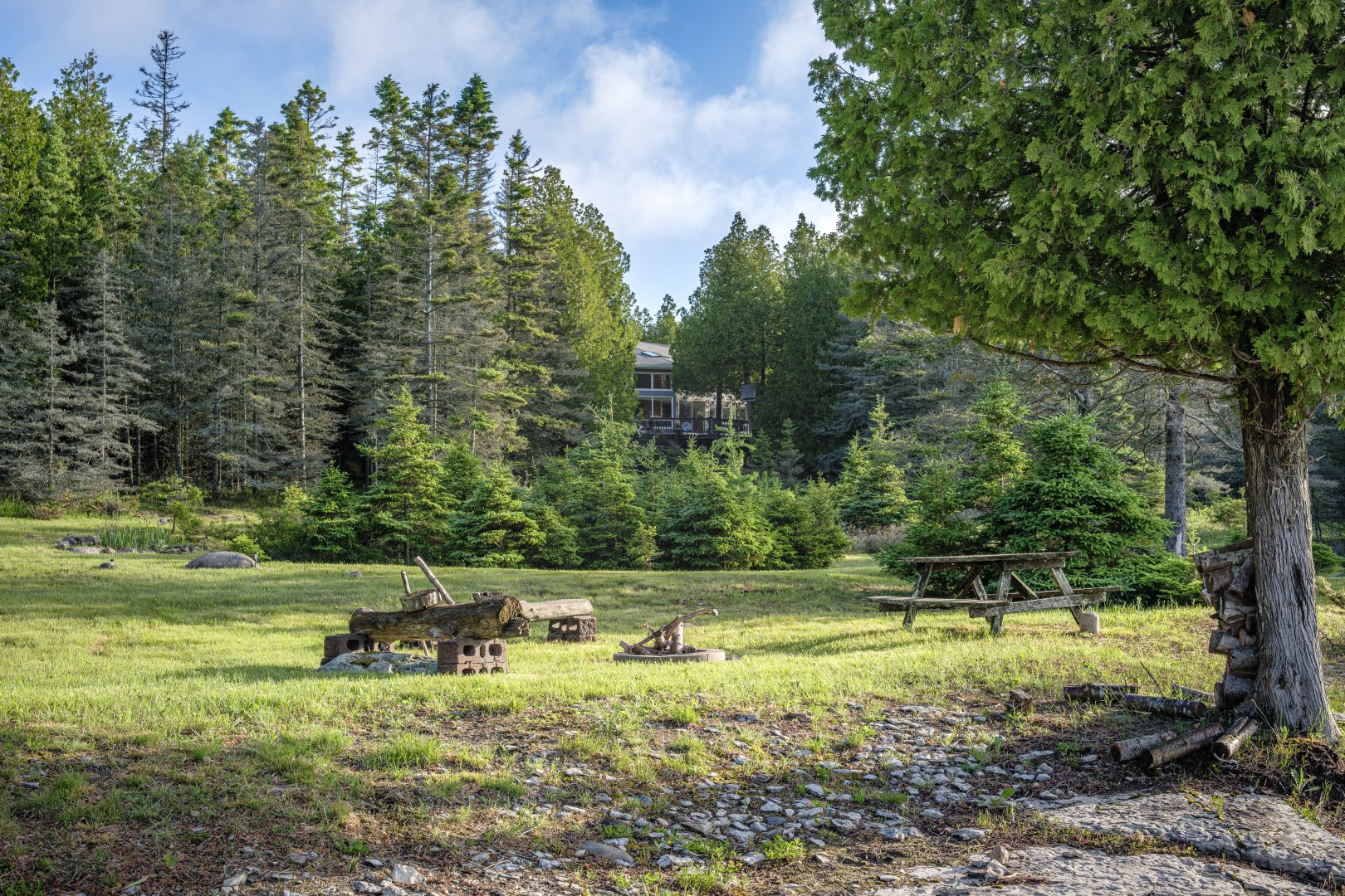 A spacious green space lined with green trees