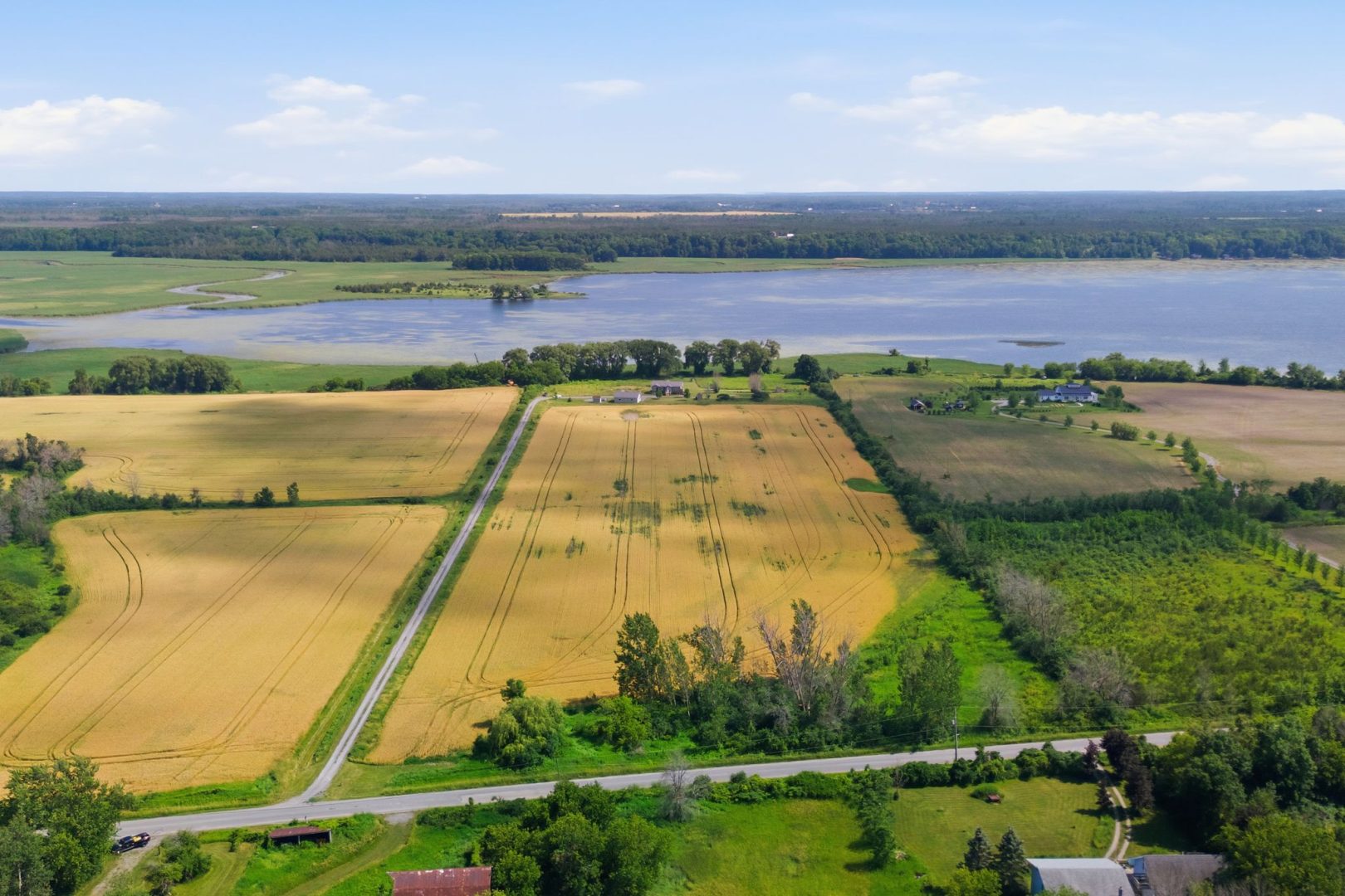 A field next to a bay with a small house in between