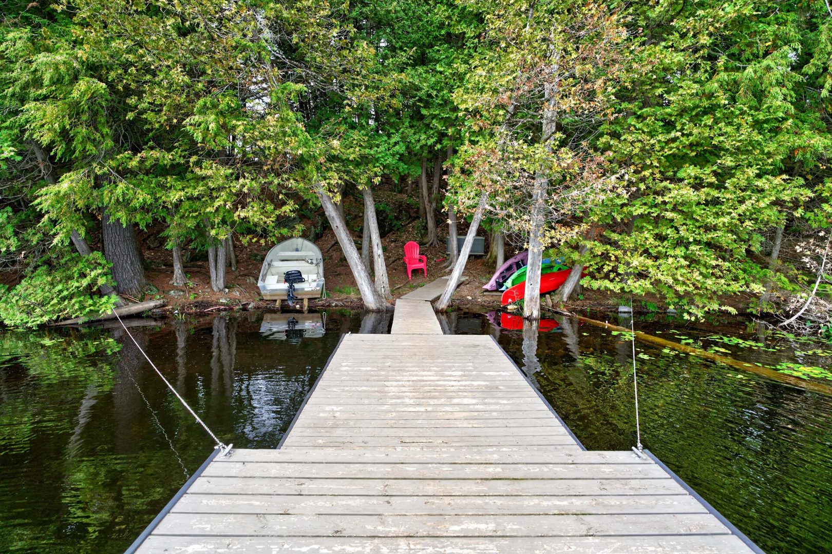 A dock in a forested area