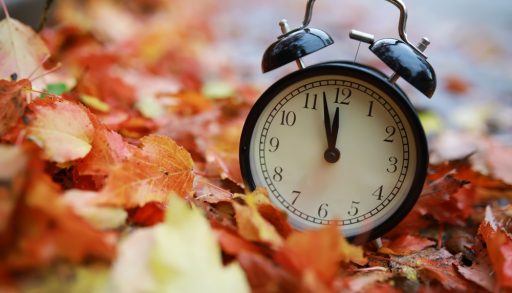 An alarm clock among leaves