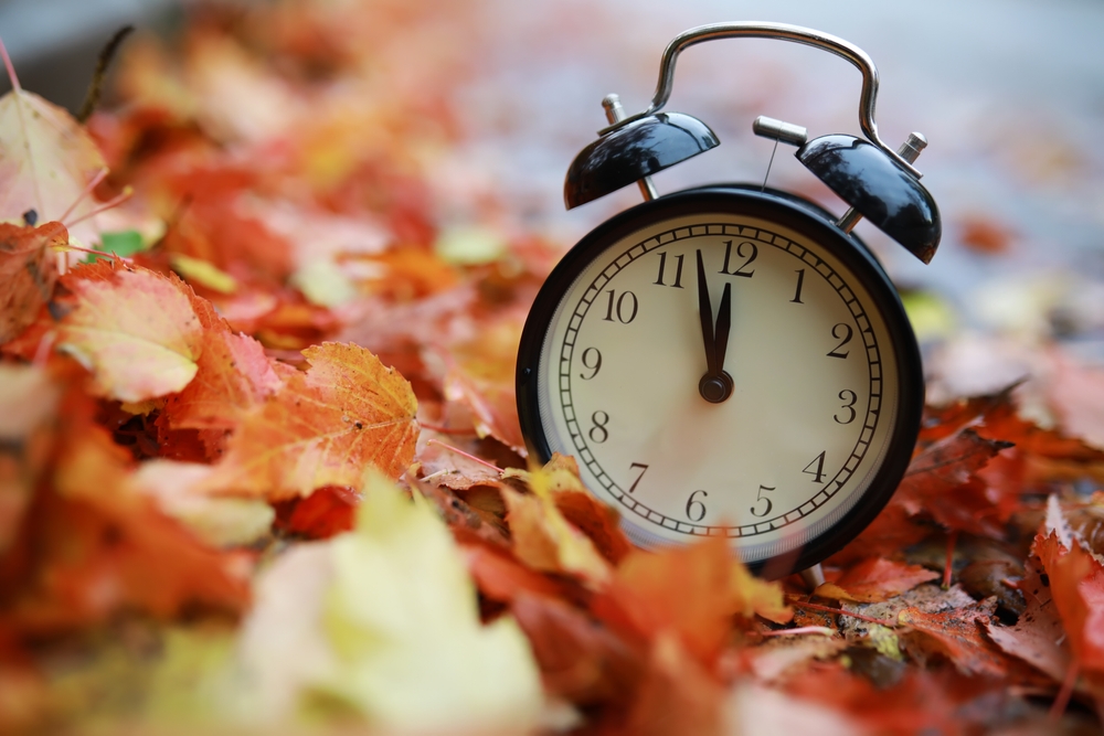 An alarm clock among leaves