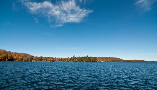 The Lake of Bays shoreline