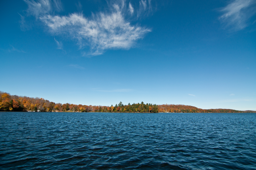The Lake of Bays shoreline